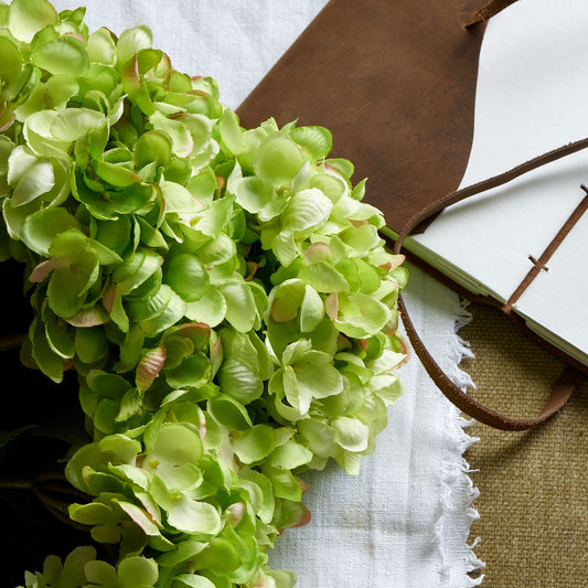 Green Hydrangea Blooms