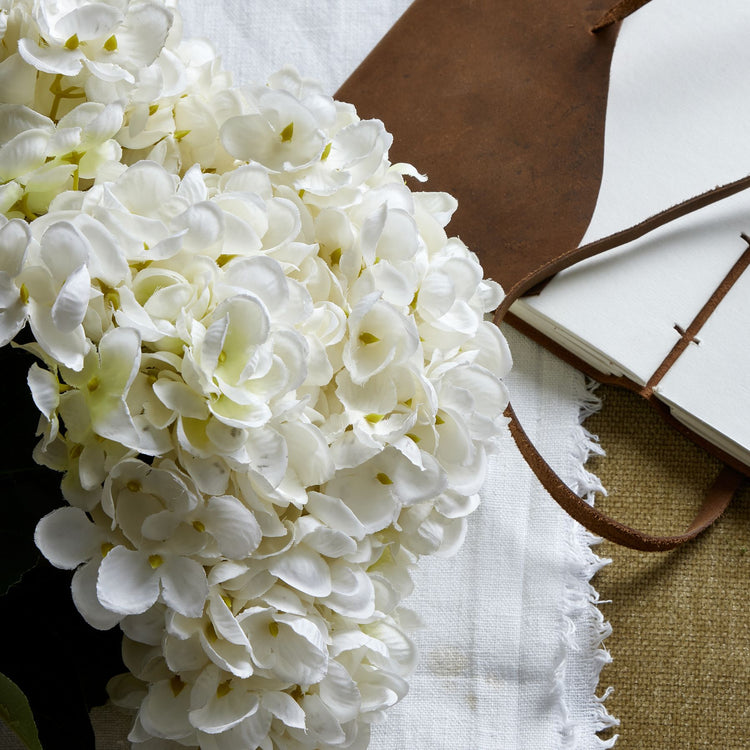 White Hydrangea Blooms