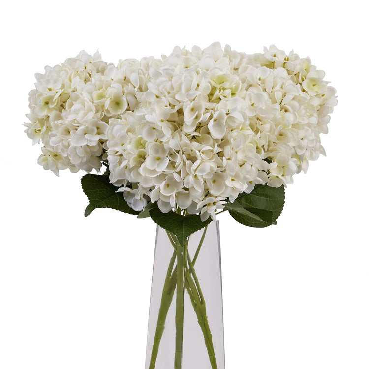 White Hydrangea Blooms