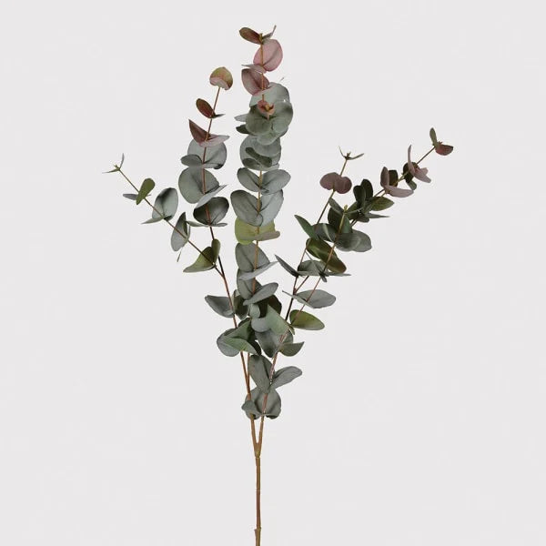 Blush Eucalyptus Spray