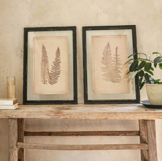 Set of 2 Framed Fern Design Artwork