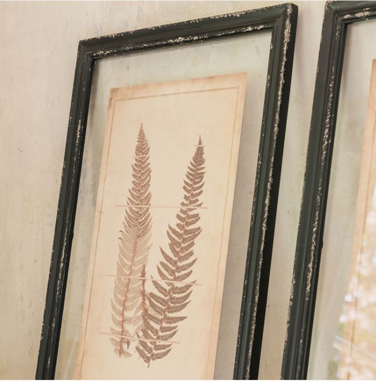 Set of 2 Framed Fern Design Artwork