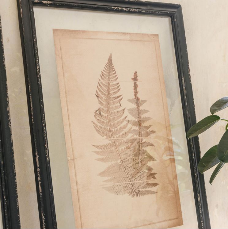 Set of 2 Framed Fern Design Artwork