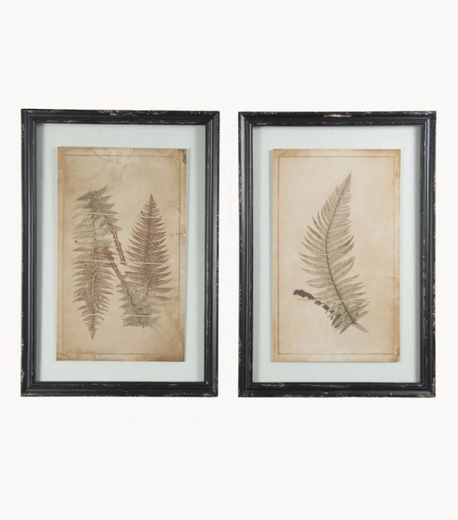 Set of 2 Framed Fern Design Artwork