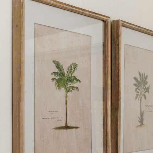 Set of 4 Framed Tropical Artwork