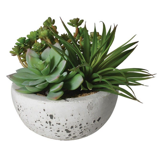 Mini Succulent Bowl