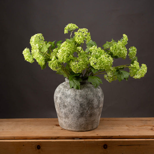 Vibrant Green Viburnum Spray