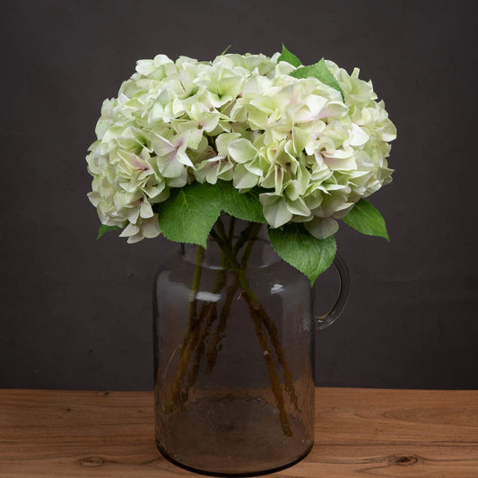 Shabby Green Hydrangea Bloom