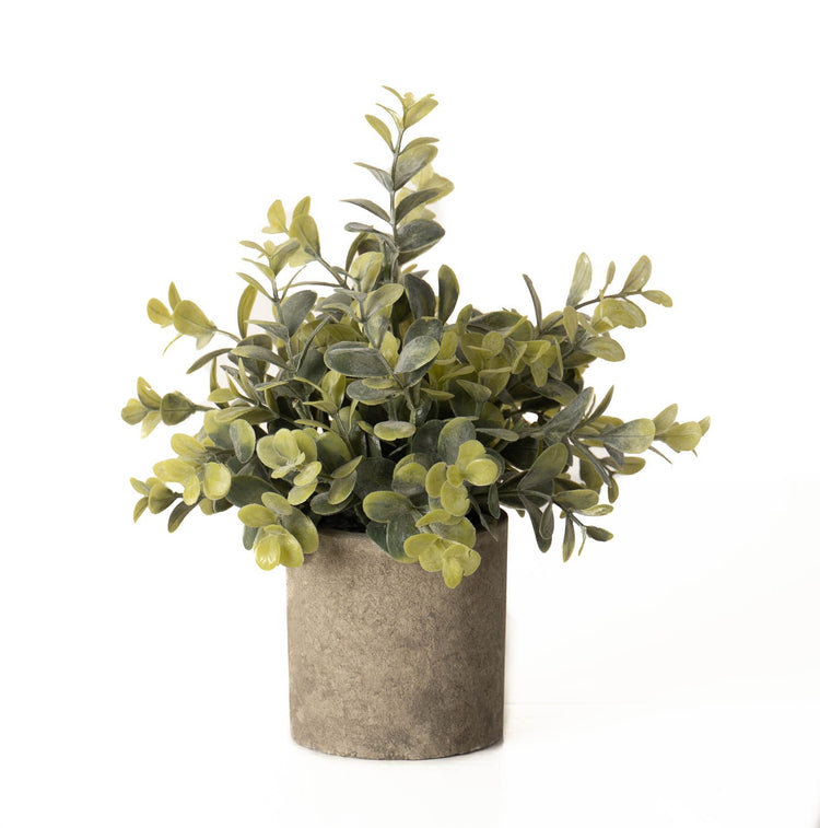 Faux Eucalyptus Plant In Stone Effect Pot